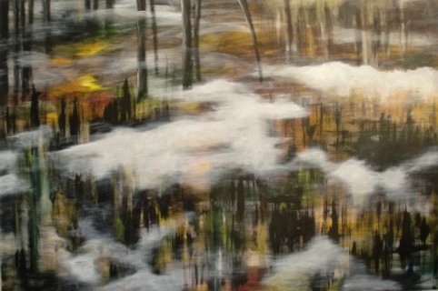 No. C22: Dream, Acryl on canvas (80 x 120 cm), 2010