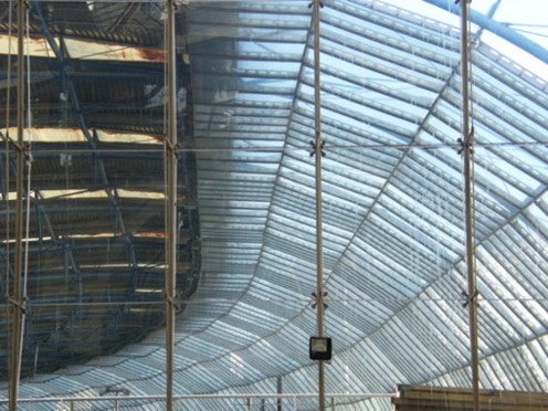 Photograph No. F01: No. F01  (2009)