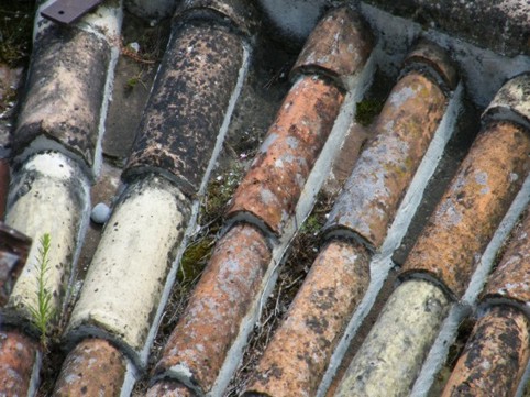 Photograph No. F24: No. F24  (2008)