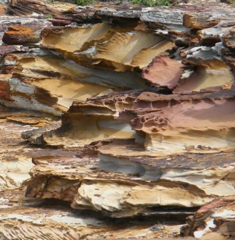 Foto Nr. F36: Nr. F36  (2008)