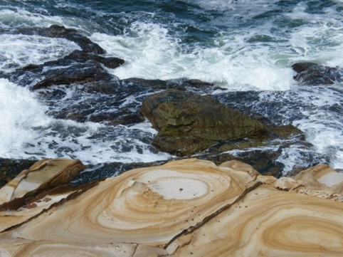 Foto Nr. F37: Nr. F37  (2008)