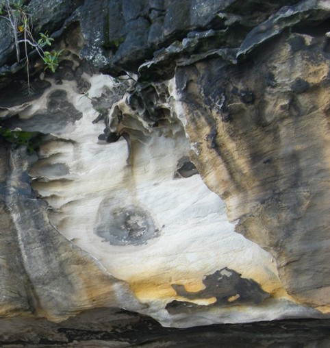 Foto Nr. F40: Nr. F40  (2008)