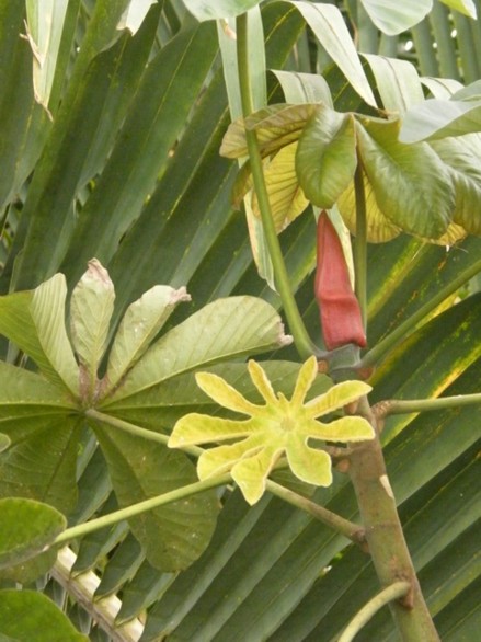 Photograph No. F48: No. F48  (2009)