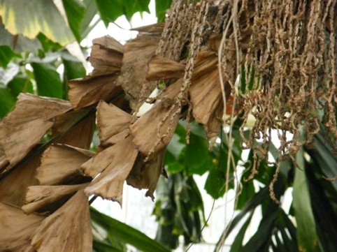 Photograph No. F49: No. F49  (2009)