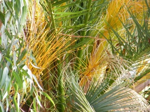 Photograph No. F52: No. F52  (2009)