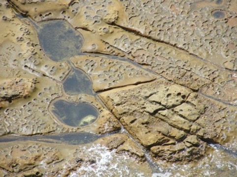 Foto Nr. F54: Nr. F54  (2008)