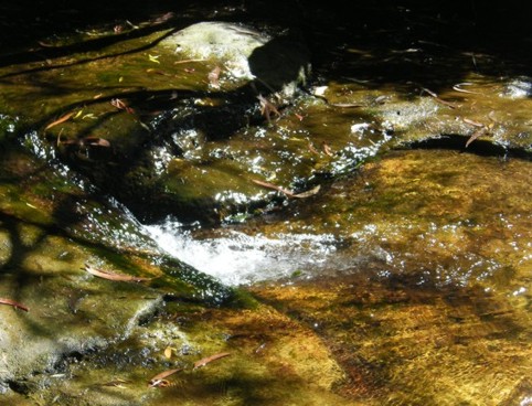 Foto Nr. F59: Nr. F59  (2008)