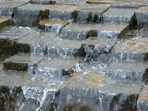 Photograph No. F61: No. F61  (2008)