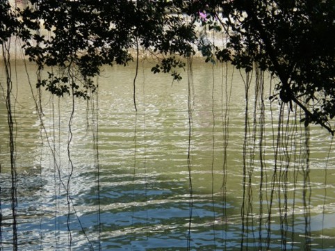 Photograph No. F63: No. F63  (2008)