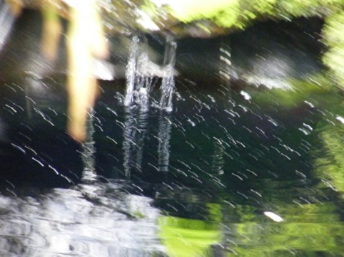 Foto Nr. F64: Nr. F64  (2009)