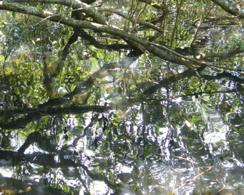 Photograph No. F66: No. F66  (2003)