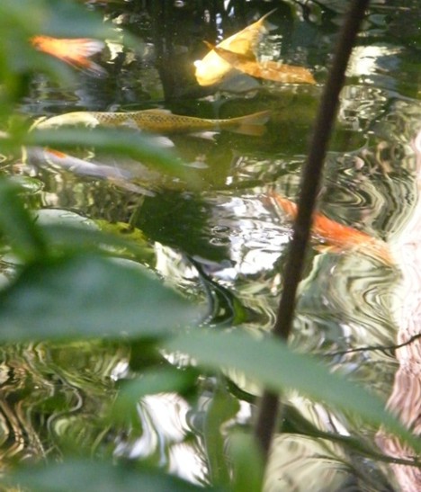 Photograph No. F67: No. F67  (2009)