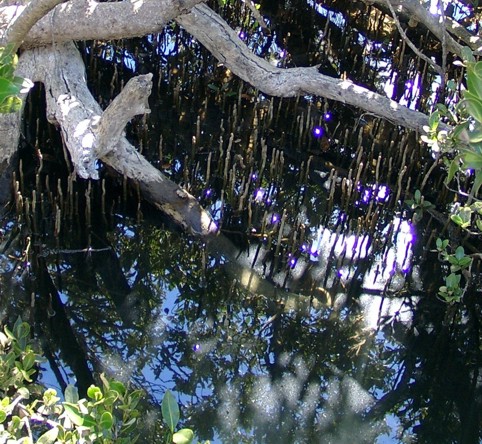 Photograph No. F68: No. F68  (2003)