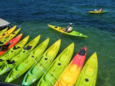 Photograph No. F71: No. F71  (2008)