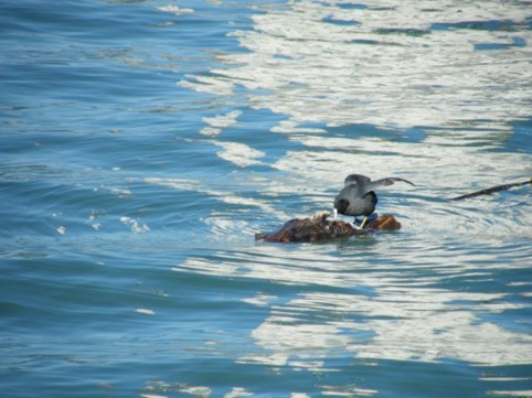 Photograph No. F72: No. F72  (2008)