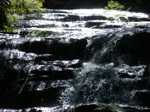 Photograph No. F75: No. F75  (2008)