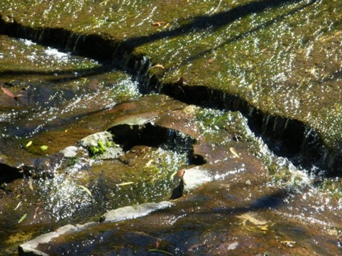 Foto Nr. F76: Nr. F76  (2008)