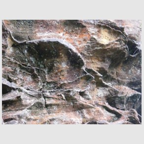 Foto Nr. F35: Nr. F35  (2008)