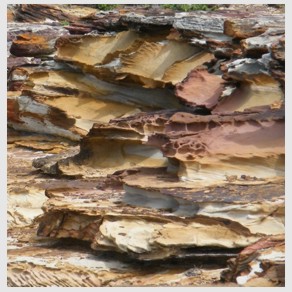 Foto Nr. F36: Nr. F36  (2008)