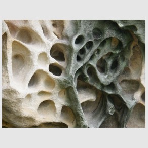 Foto Nr. F38: Nr. F38  (2008)