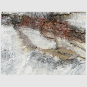 Foto Nr. F41: Nr. F41  (2008)