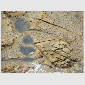 Foto Nr. F54: Nr. F54  (2008)