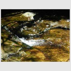 Foto Nr. F59: Nr. F59  (2008)