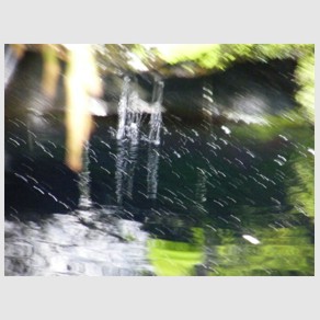 Foto Nr. F64: Nr. F64  (2009)