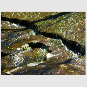 Foto Nr. F76: Nr. F76  (2008)